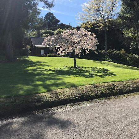 Cherrywood Cottage Akaroa Exterior photo